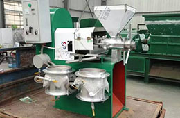 全自動(dòng)胡麻榨油機(jī) 全自動(dòng)胡麻榨油機(jī)